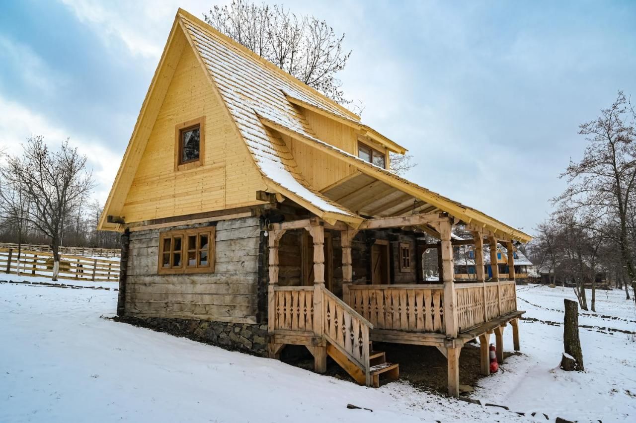 Дома для отпуска Casa Păpădie - Poiana Creasta Cocoșului Breb-33