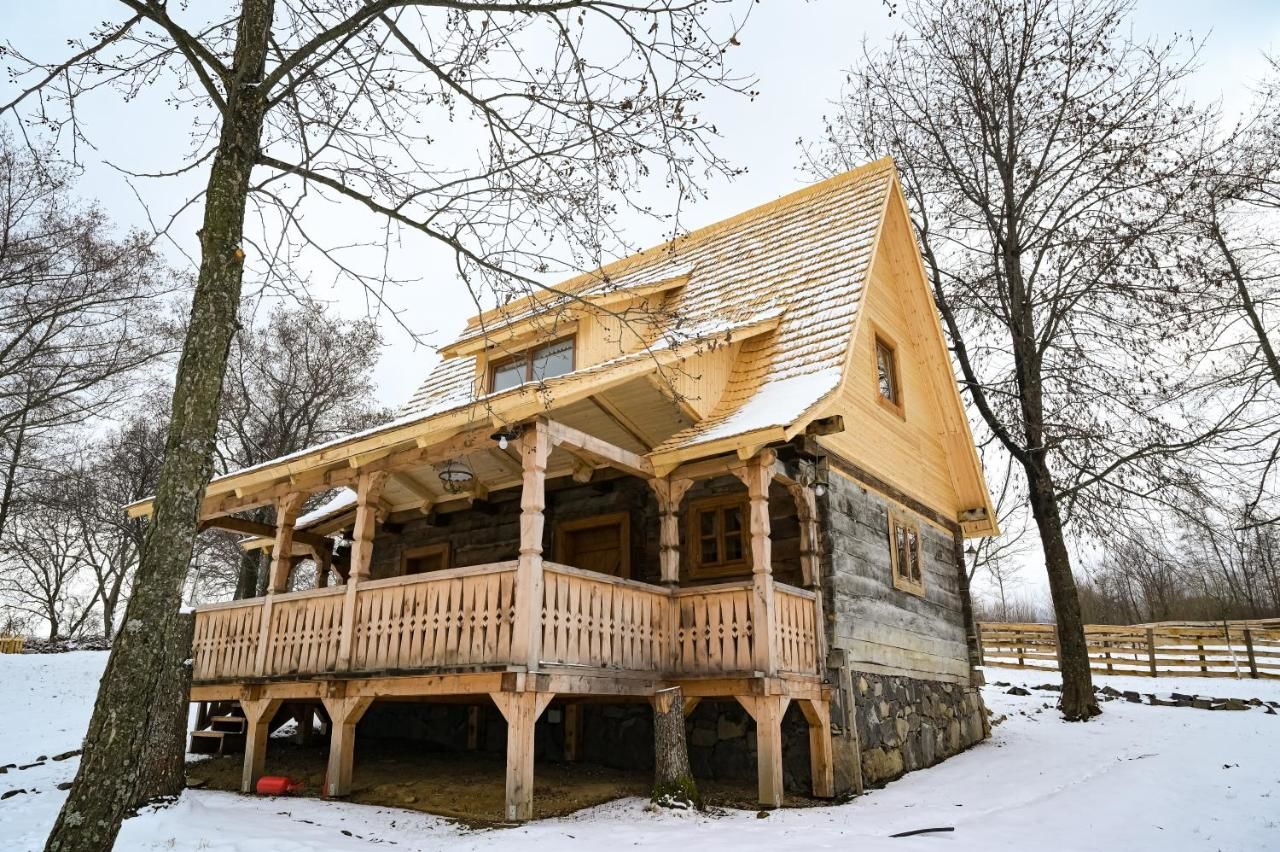 Дома для отпуска Casa Păpădie - Poiana Creasta Cocoșului Breb-35